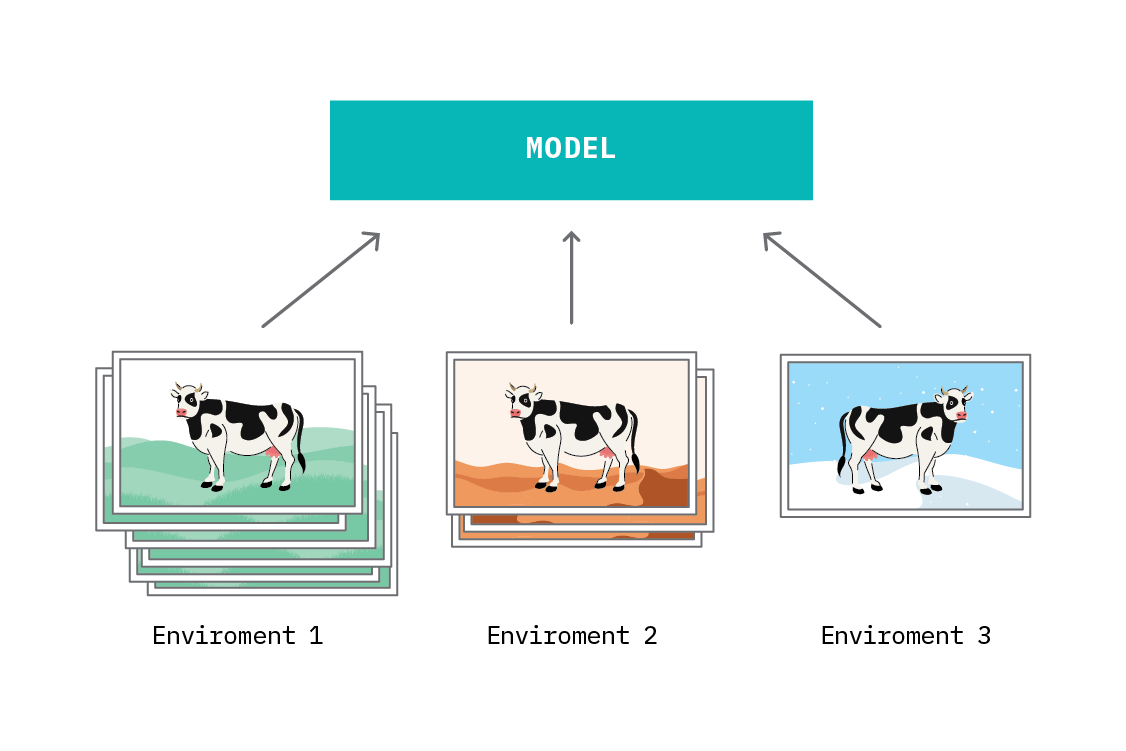 IRM relies on representative data from diverse environments. If we cannot collect enough data from sufficiently diverse environments, we may still learn spurious correlations.